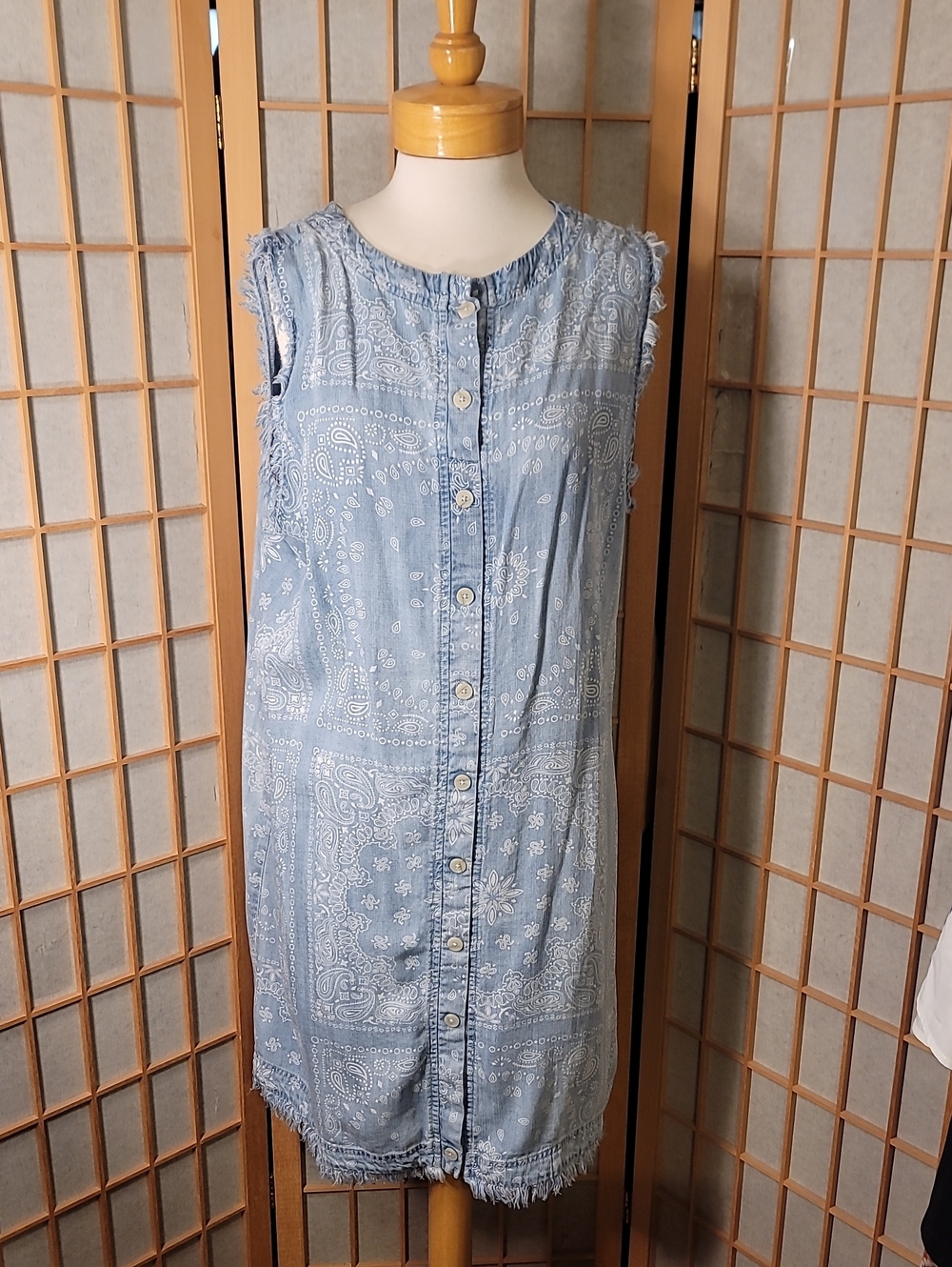 T TAHARI Sleevelees Denim Shirt Dress